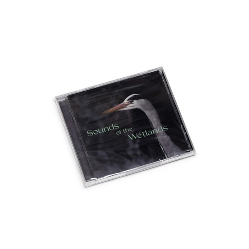 Sounds Of The Wetlands