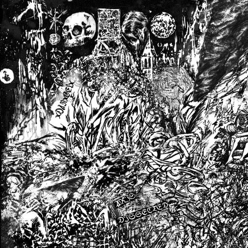 Axis Dissected