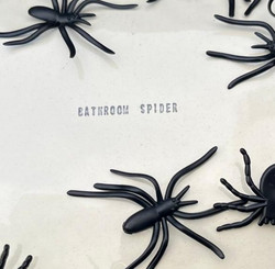 Bathroom Spider
