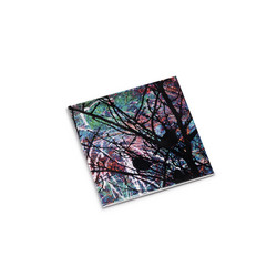 雀色 2 Sparrow Color 2