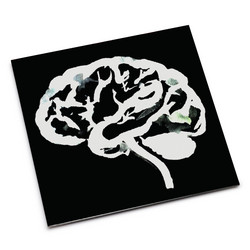 Brain Flakes