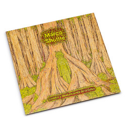 Sonidos Y Modulaciones De La Selva