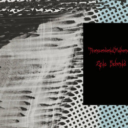 Transcendental Mathematics (Book)