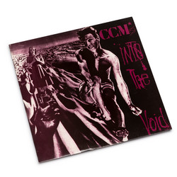 Into The Void (LP)