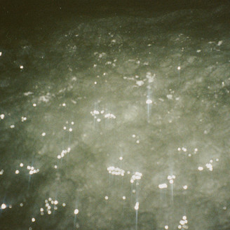  Sirene 